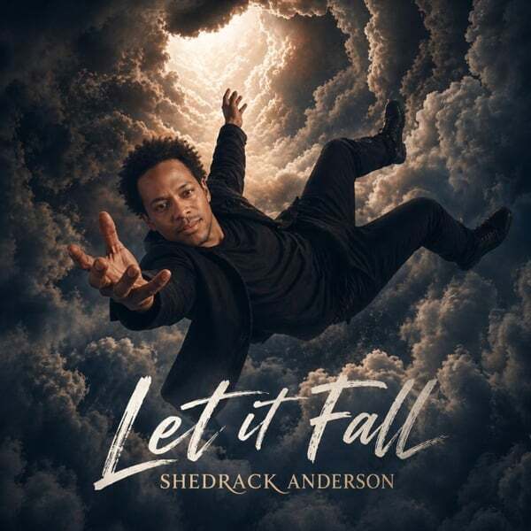Cover art for Let It Fall